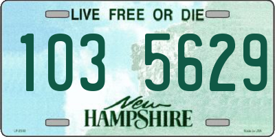NH license plate 1035629