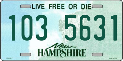 NH license plate 1035631