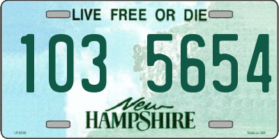 NH license plate 1035654