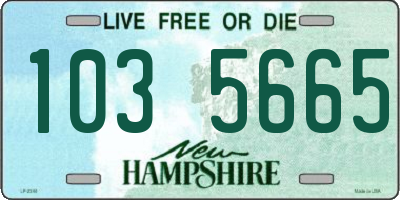 NH license plate 1035665