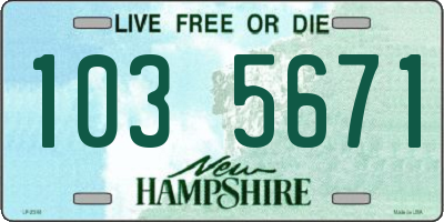 NH license plate 1035671