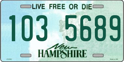 NH license plate 1035689