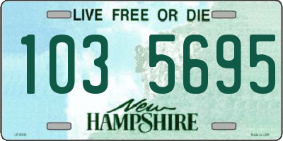 NH license plate 1035695