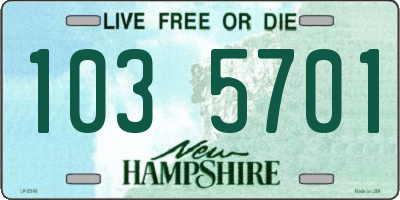 NH license plate 1035701
