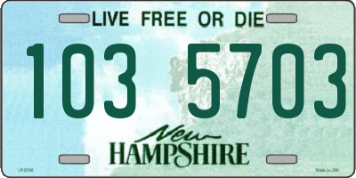NH license plate 1035703