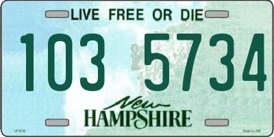 NH license plate 1035734