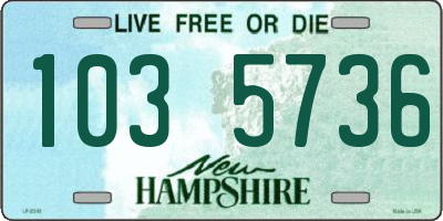 NH license plate 1035736