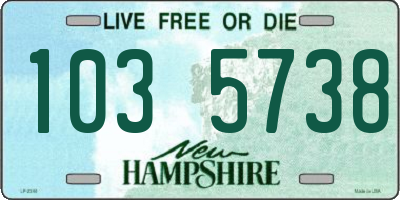 NH license plate 1035738