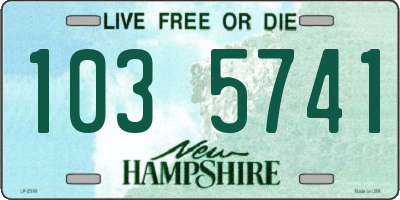 NH license plate 1035741