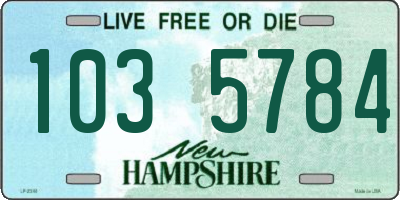 NH license plate 1035784