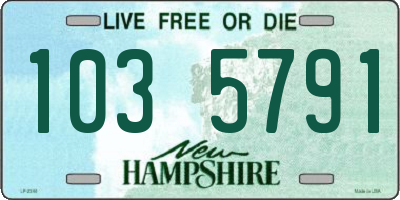 NH license plate 1035791