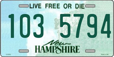 NH license plate 1035794