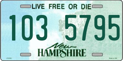 NH license plate 1035795