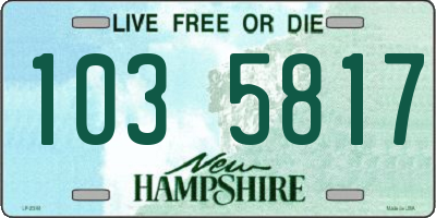NH license plate 1035817
