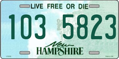 NH license plate 1035823