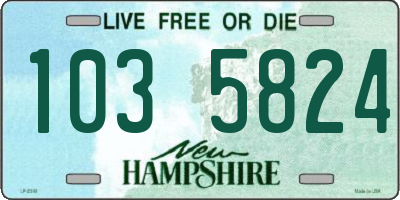NH license plate 1035824