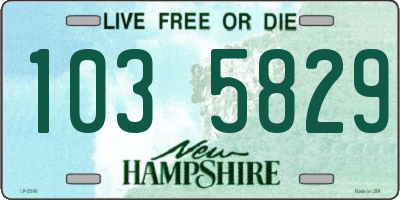 NH license plate 1035829