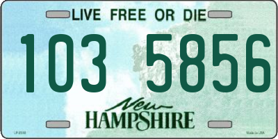 NH license plate 1035856