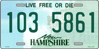 NH license plate 1035861
