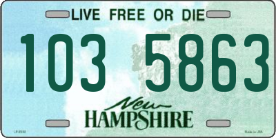 NH license plate 1035863