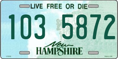NH license plate 1035872