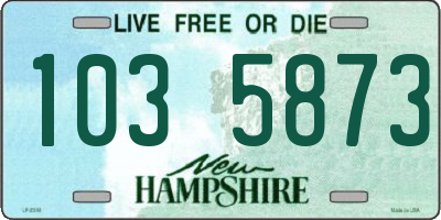 NH license plate 1035873