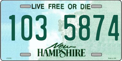 NH license plate 1035874