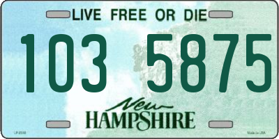 NH license plate 1035875