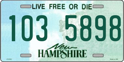 NH license plate 1035898