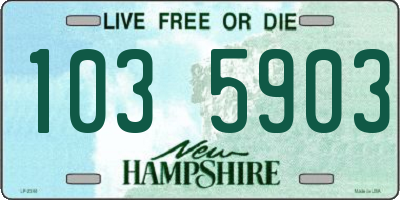 NH license plate 1035903