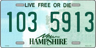 NH license plate 1035913