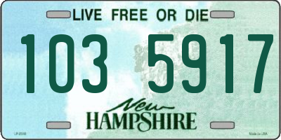 NH license plate 1035917