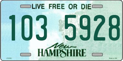 NH license plate 1035928