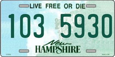 NH license plate 1035930