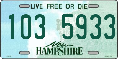 NH license plate 1035933