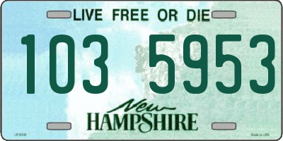 NH license plate 1035953