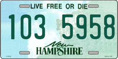 NH license plate 1035958