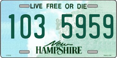 NH license plate 1035959