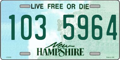 NH license plate 1035964