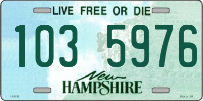 NH license plate 1035976