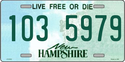 NH license plate 1035979