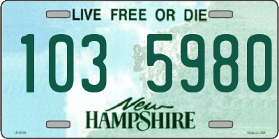 NH license plate 1035980