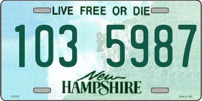 NH license plate 1035987
