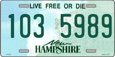 NH license plate 1035989