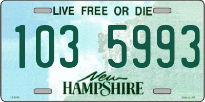 NH license plate 1035993
