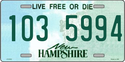 NH license plate 1035994