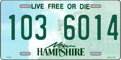 NH license plate 1036014