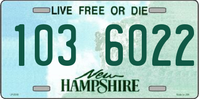 NH license plate 1036022