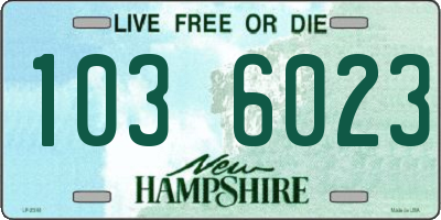 NH license plate 1036023