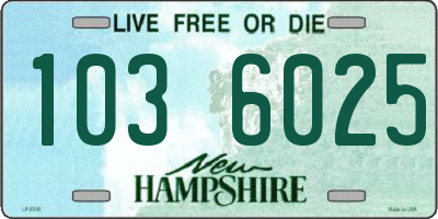 NH license plate 1036025